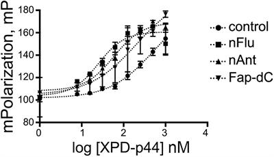 The Interaction Efficiency of XPD-p44 With Bulky DNA Damages Depends on the Structure of the Damage